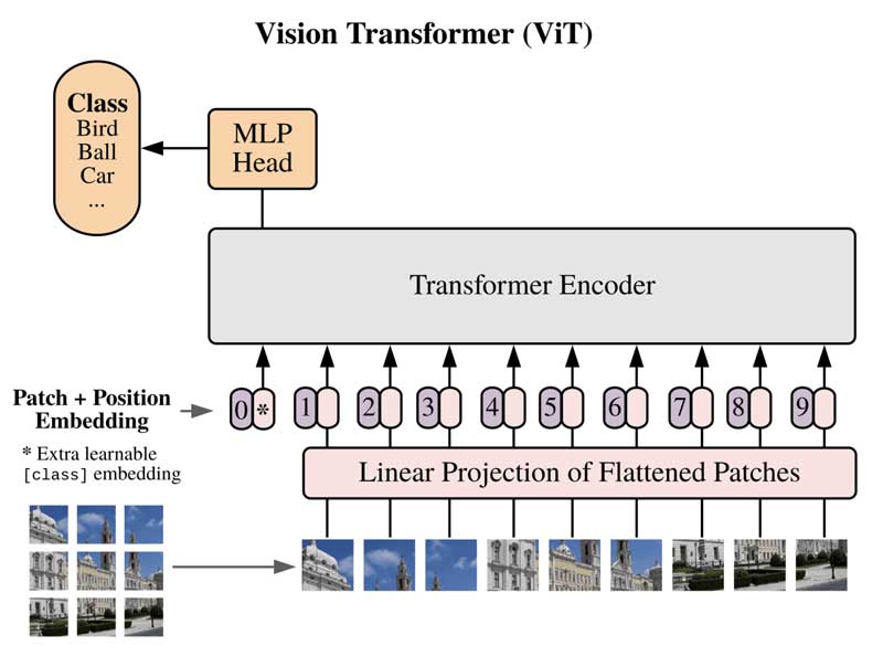 Vision transformer (ViT) Graphic